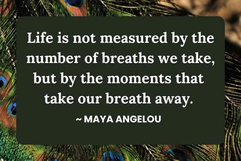 Retirement quote by Maya Angelou