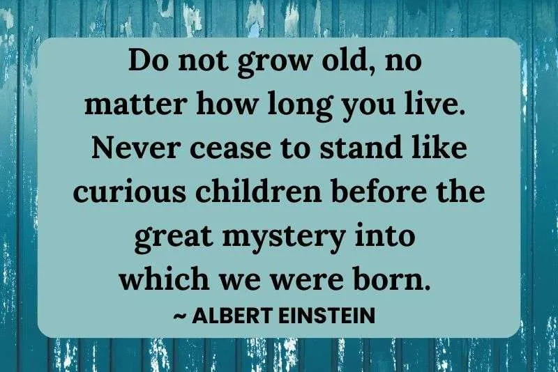 Retirement quote by Albert Einstein