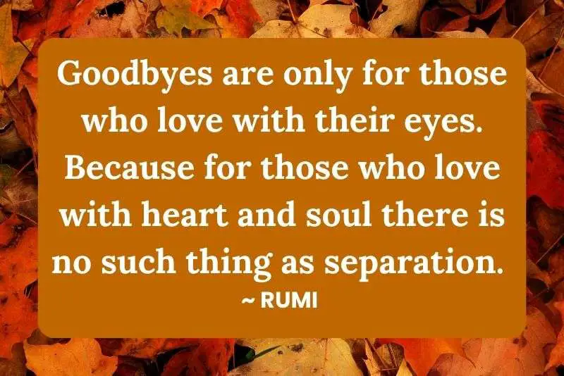 Retirement quote by Rumi